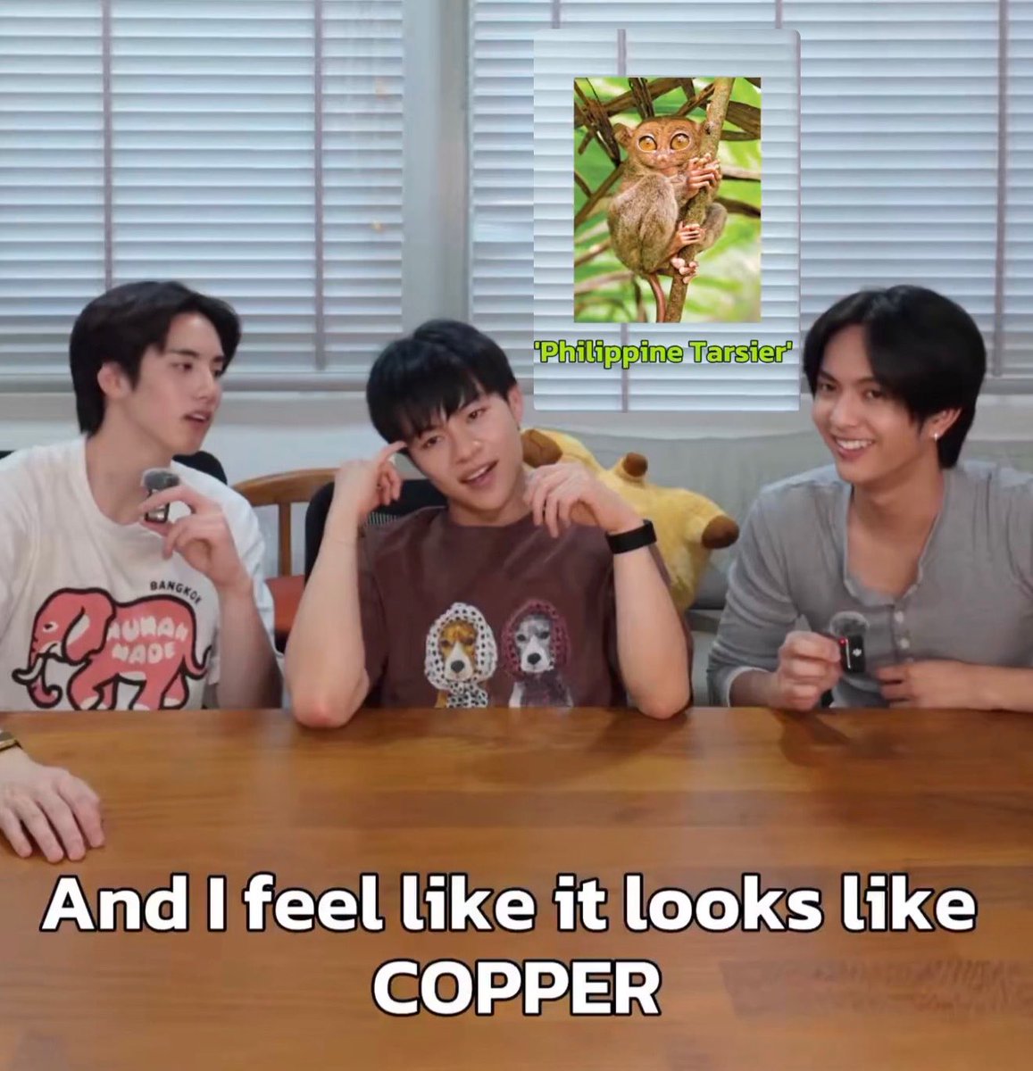 🐱คุณหนูแซลมอน🎂COPPER20thBD tweet media