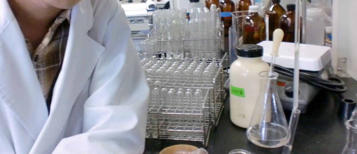 orient1212 tweet media