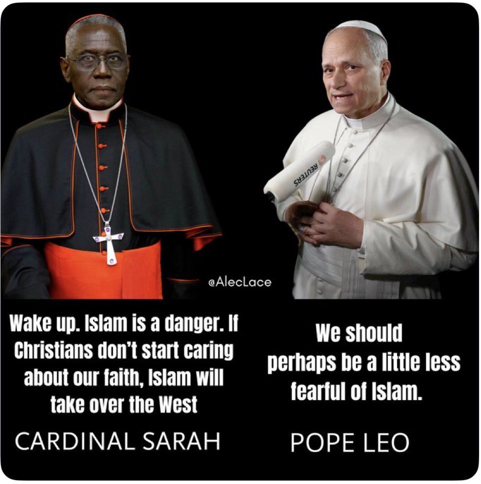 Magnus 🇺🇸 tweet media