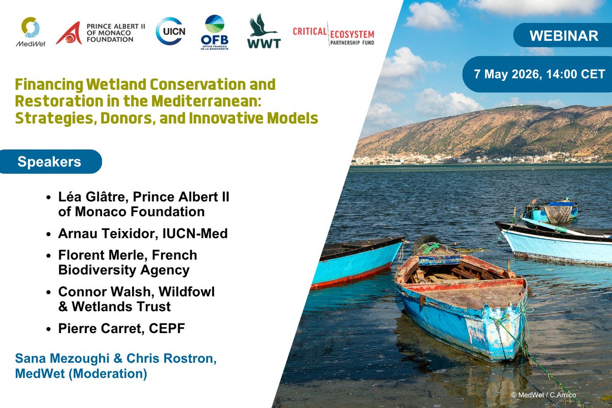 MedWetOrg's tweet photo. #SaveTheDate: 7️⃣ May 2026

Webinar on "Financing wetland conservation and restoration in the Mediterranean: strategies, donors, and innovative mode"

🔗 Detailed agenda: https://t.co/GyEQFj44kT

#Wetlands #WetlandConservation #NatureBasedSolutions  #RestoreWetlands https://t.co/mR5loL0tre