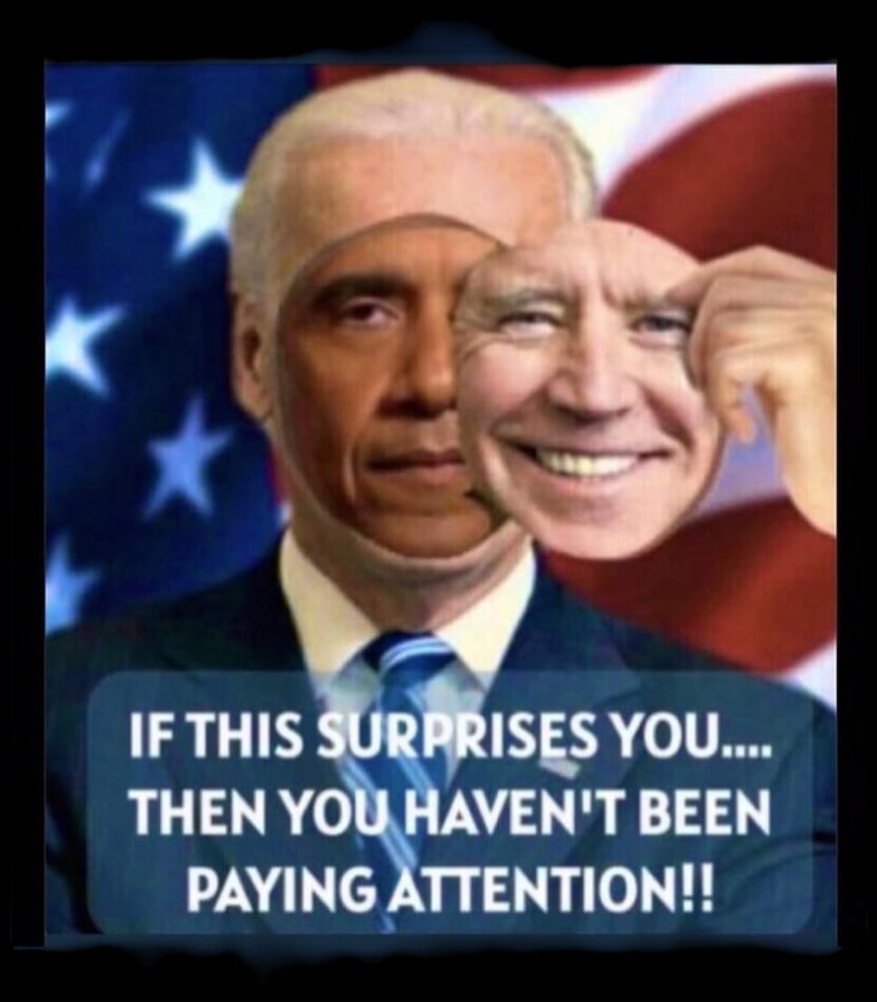 Semper Raw ™️ tweet media