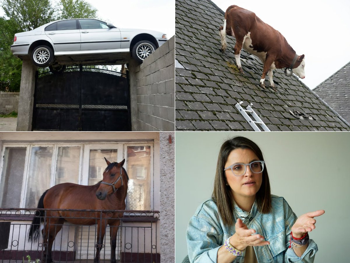 Nadie sabe como llegaron ahí.