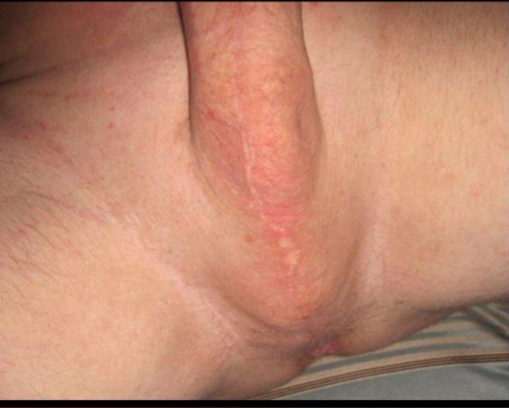 slavechef tweet media