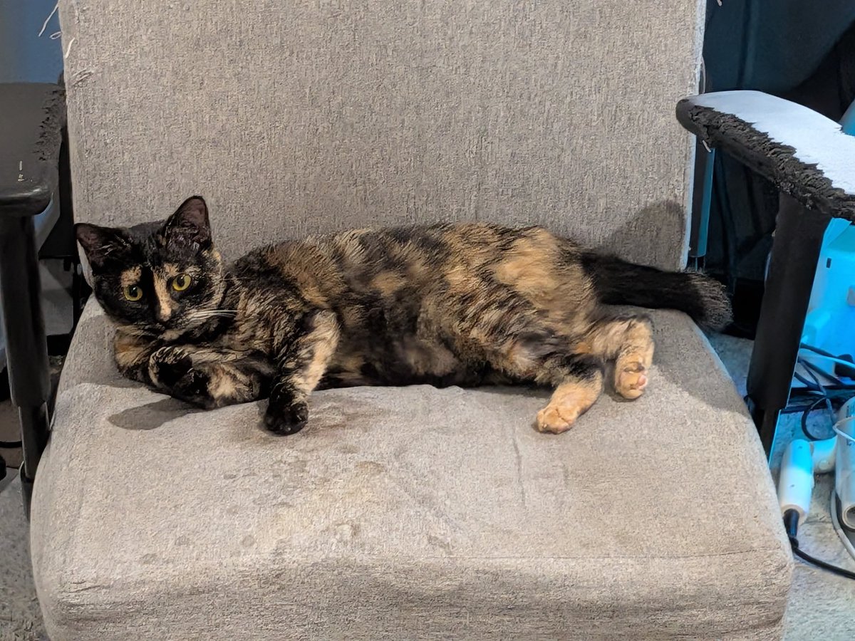 ゔぃるま tweet media