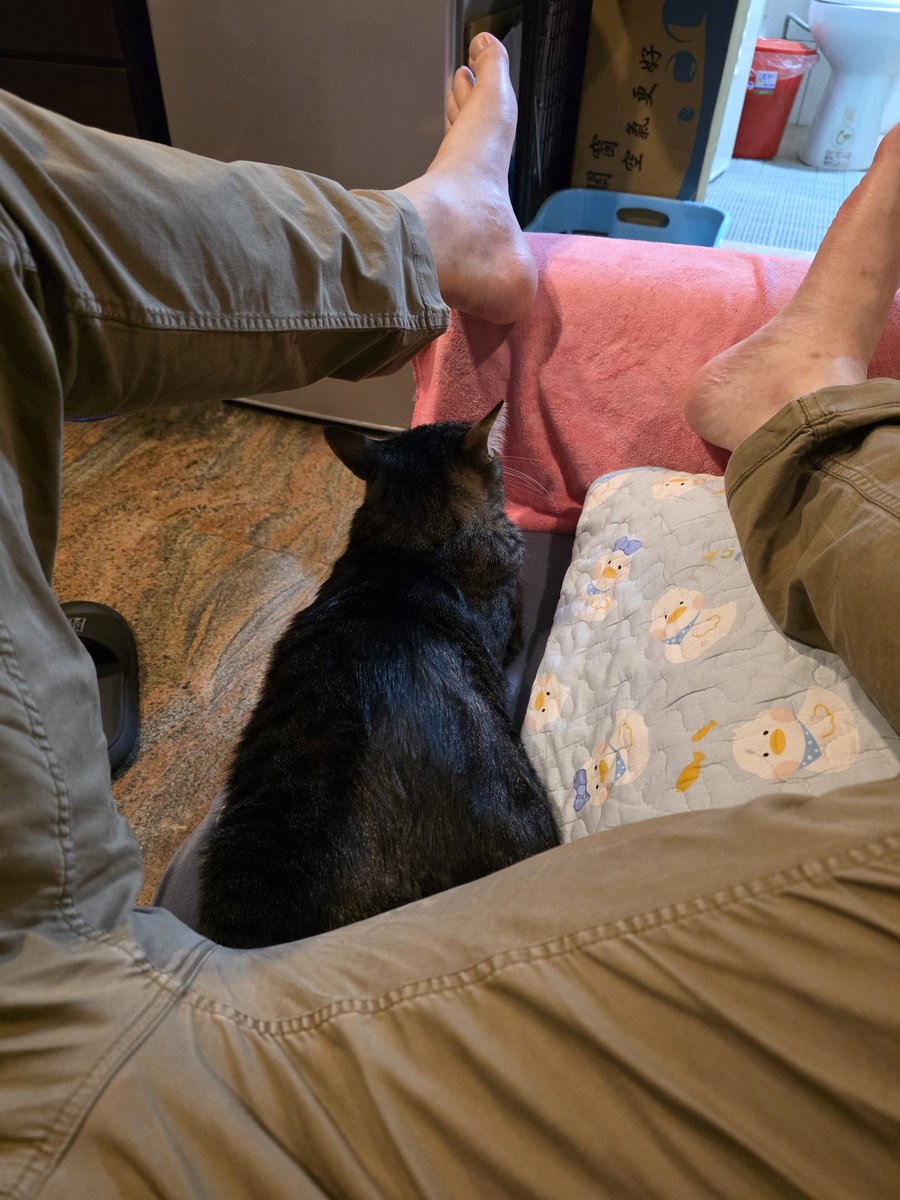 Emil Chou@台灣G+遺民 tweet media