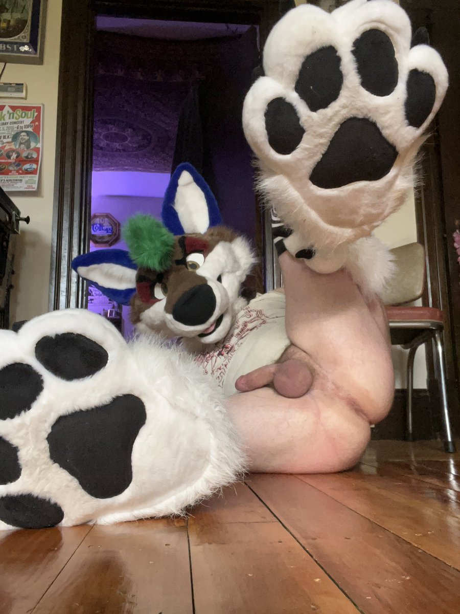 sex punk @ ANE tweet media