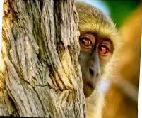 Eng.Mapunda Jr tweet media