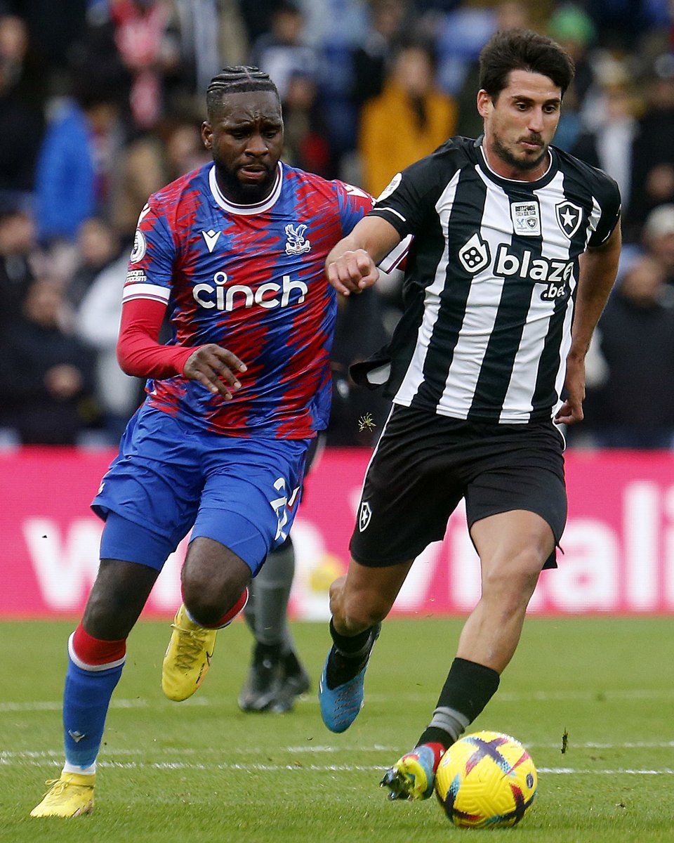 Biriba Vegano tweet media