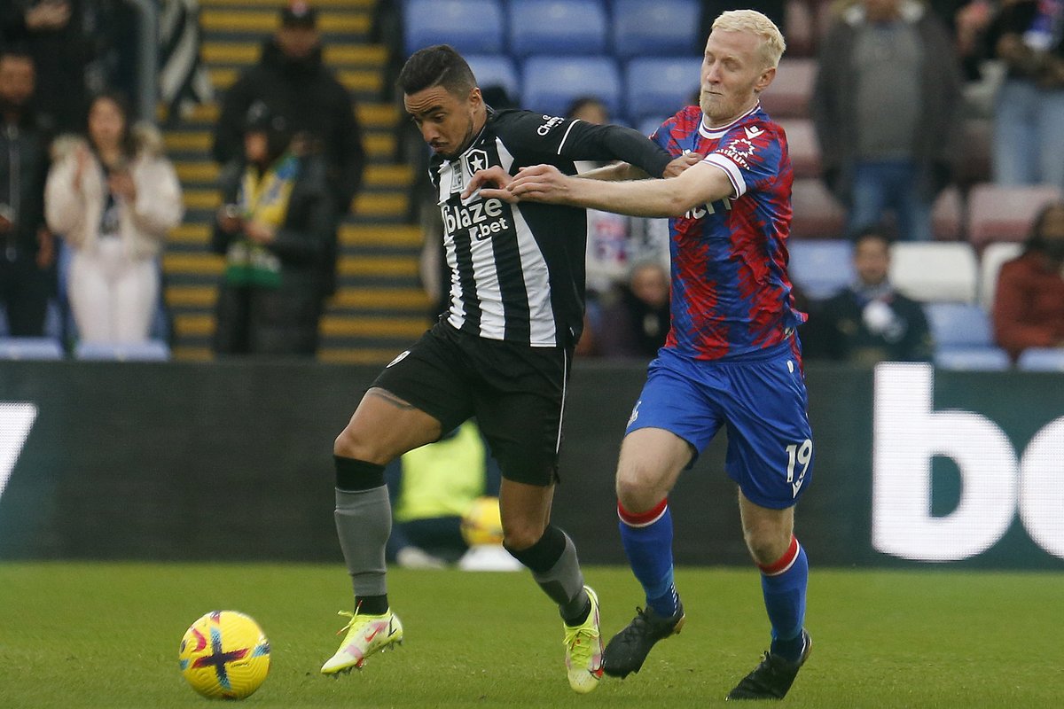 Biriba Vegano tweet media