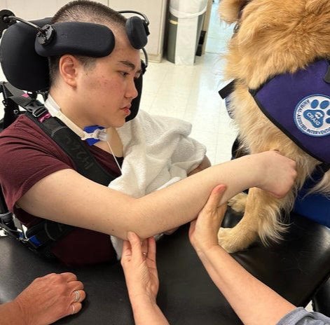 The Constitutional Conservative tweet media