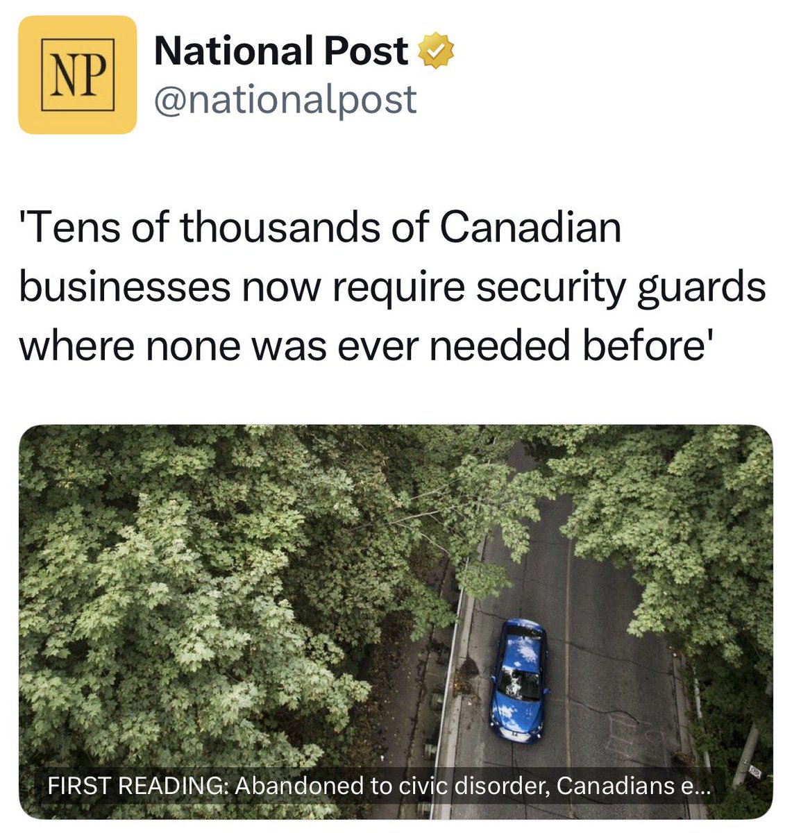 Kat Kanada 🏴 tweet media