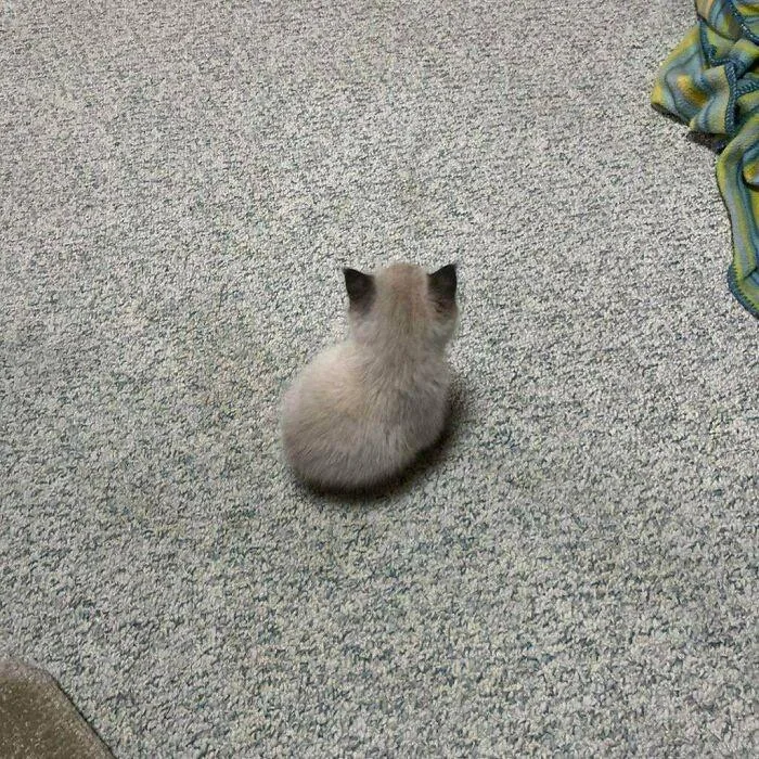 힐링짤모으는곳 tweet media