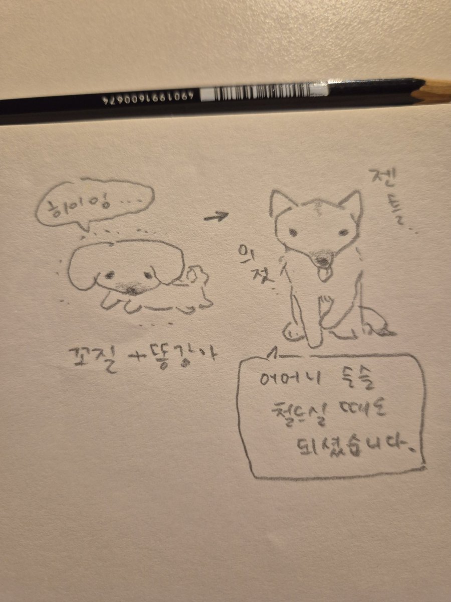 설탕이 가족찾아요🤍🥛 tweet media