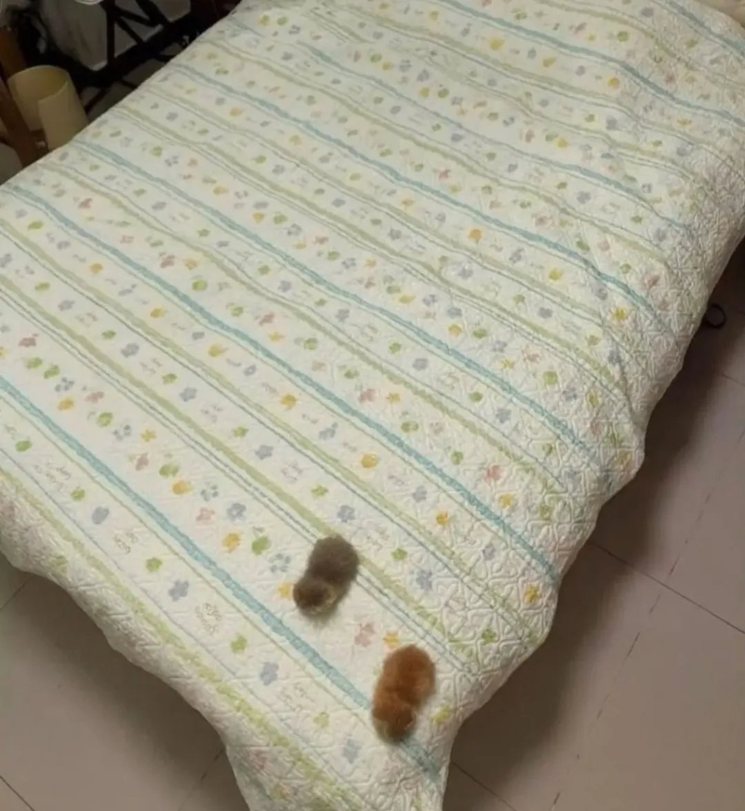 힐링짤모으는곳 tweet media