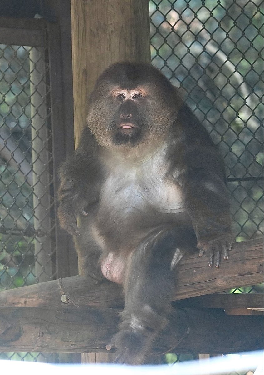 やえち tweet media