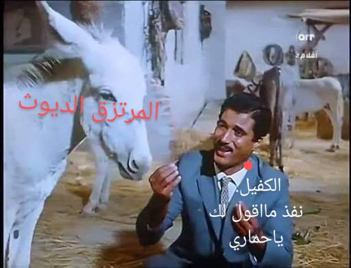 أبو الأكرم اليمني tweet media