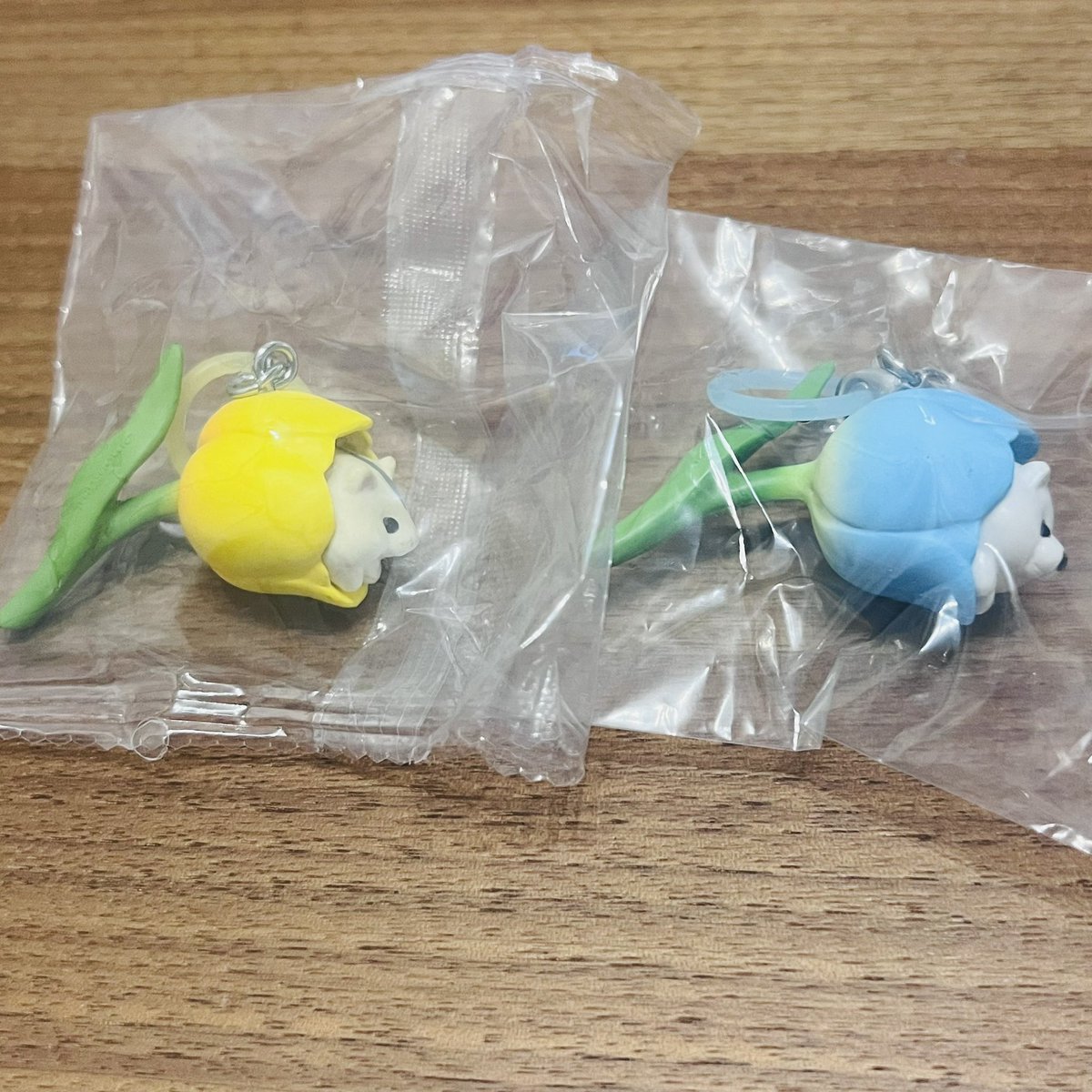 えて🐈🐈‍⬛🐈🐈‍⬛ tweet media