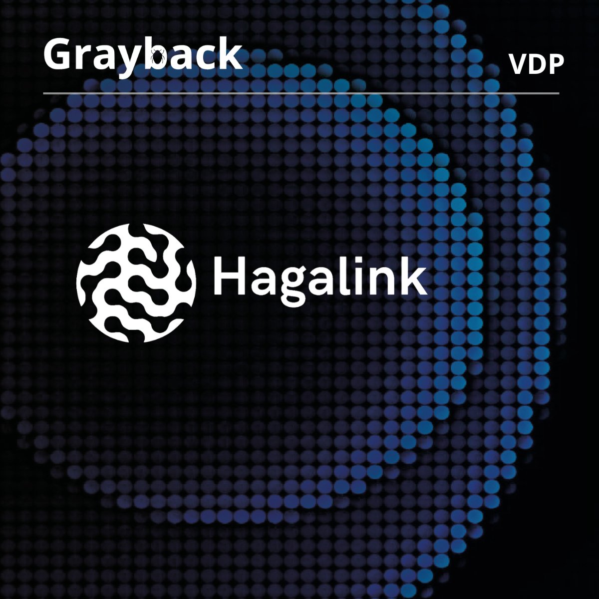 _Grayback's tweet image. 🚨 Nuevo programa público VDP en Grayback 🚨 

@hagalink_ai  se incorpora a Grayback con el lanzamiento de su programa público de Vulnerability Disclosure Program (VDP), reforzando su compromiso con la seguridad y la mejora continua.

app.grayback.es/programs?type=…

#bugbounty #vdp