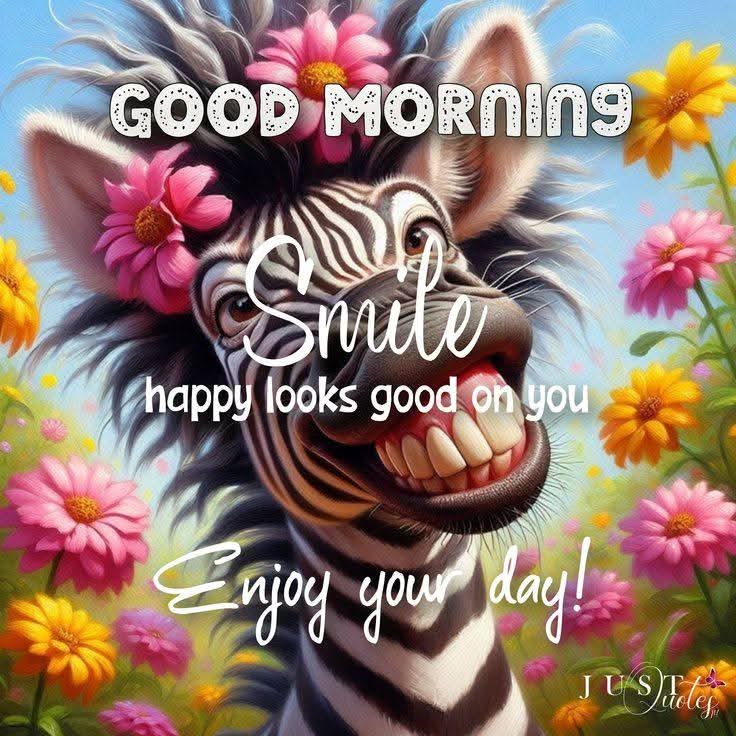 Mary Kurek☕🐧🇺🇲 tweet media