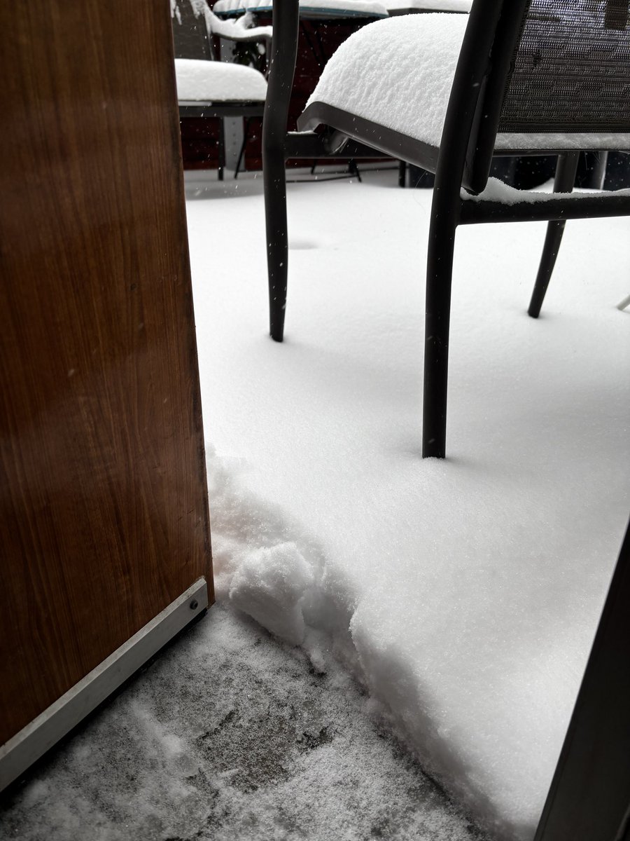 True Heather 🪬 tweet media