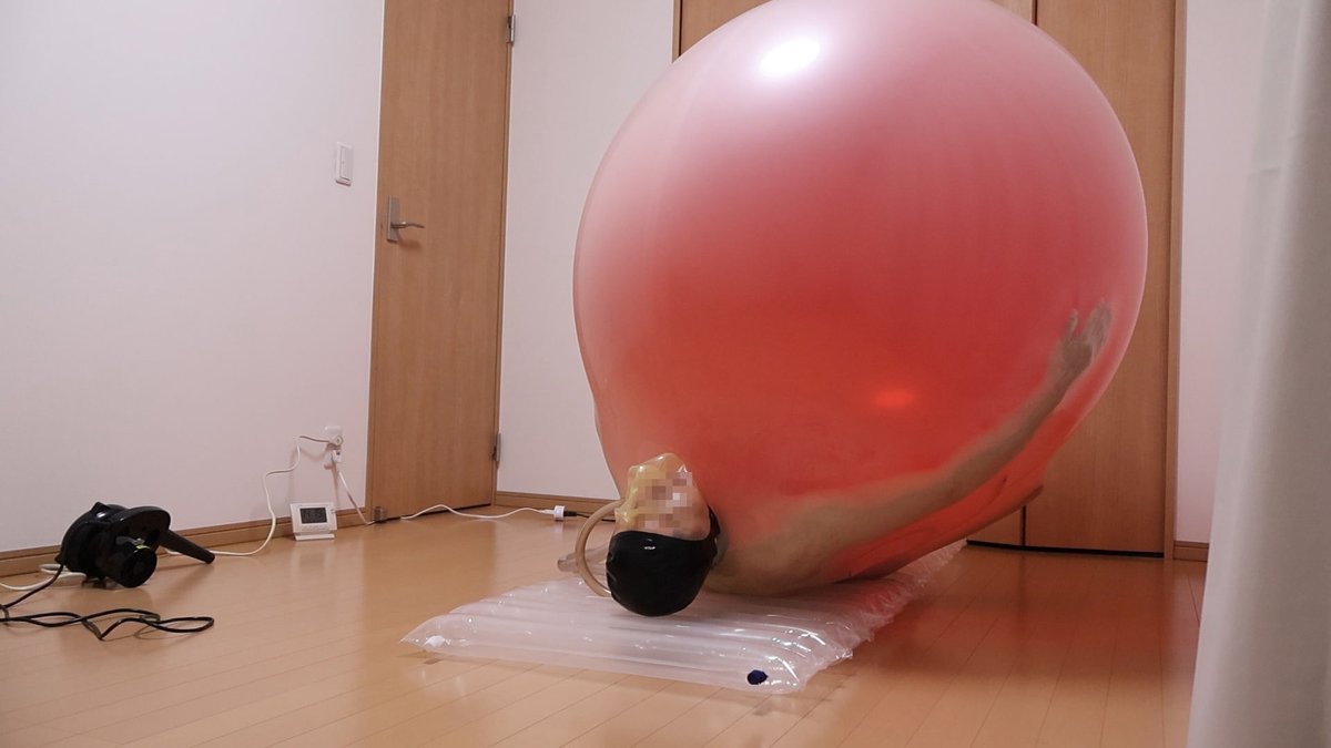 balloon802's tweet photo. 180cm巨大風船の空気が抜け、膨らみ続けてある程度育ってしまった3ft巨大風船の間に挟まれると、もう破裂するまで動けない。
頭部だけは巨大風船外に脱出したもののバキュームマスクが装着されており、呼吸も制限される中で無事生還するには、膨らむ3ft風船が限界を迎え破裂するのをただ待つしかない。 https://t.co/IK4wE0Qwvf