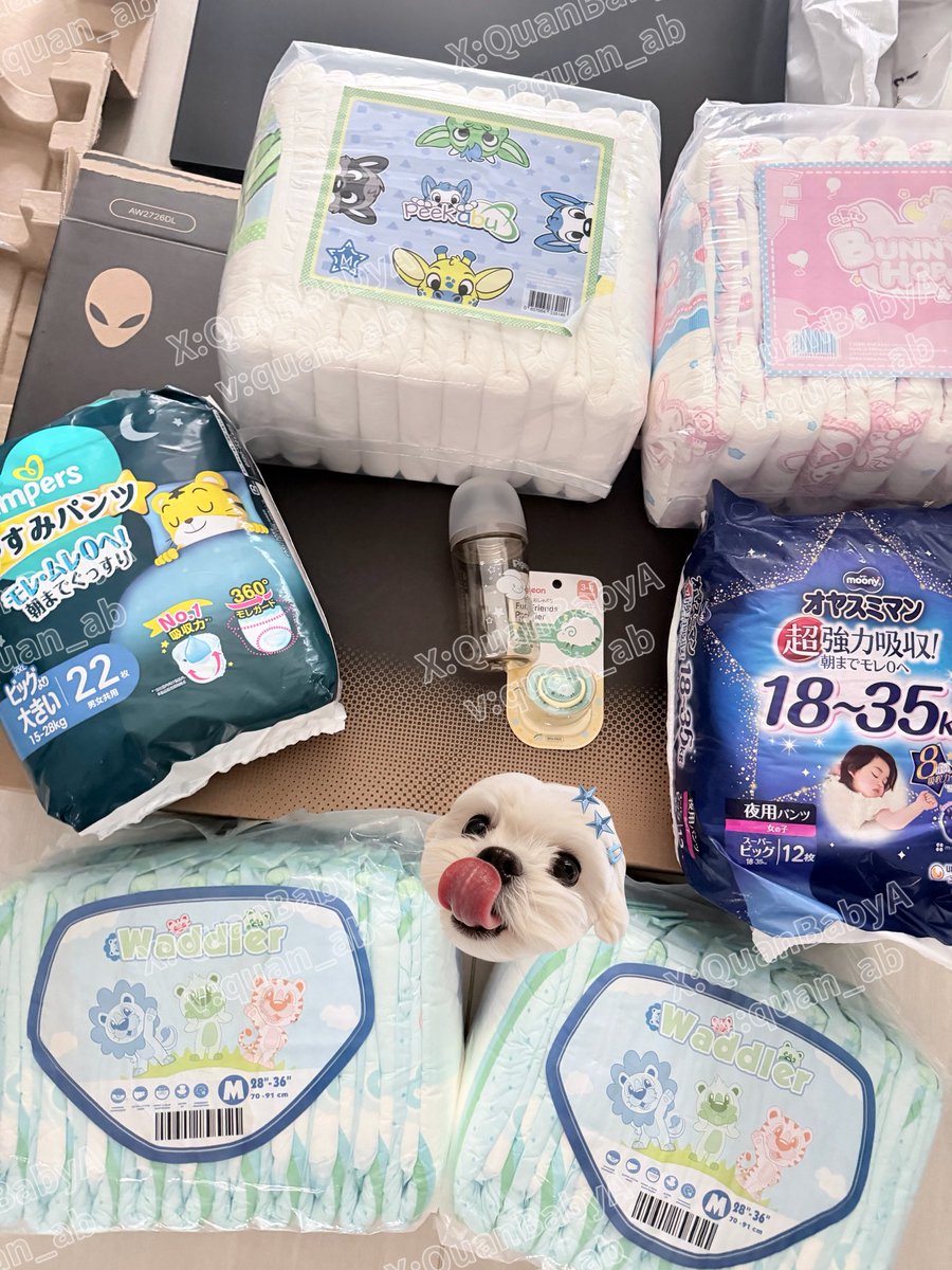 圈圈宝🍼🐰 tweet media