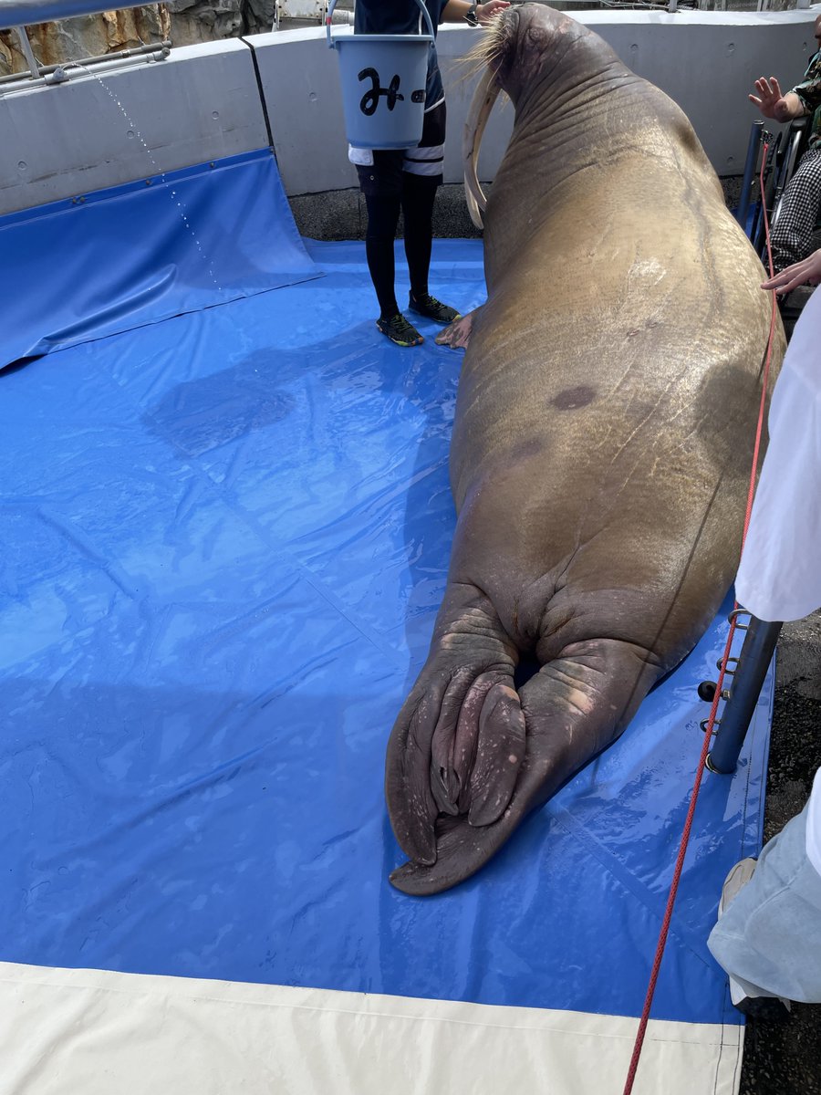 アイおじ tweet media