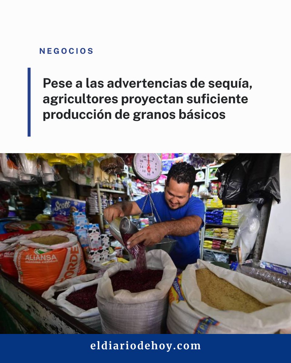 EDHNoticias's tweet image. #Negocios | 🌾🇸🇻 Ajustan siembra ante amenaza de sequía. Productores adelantan el calendario agrícola desde el 20 de abril, algo que no ocurría desde hace más de 35 años.

Toda la información ⬇️ eldiariodehoy.com/negocios/pese-…