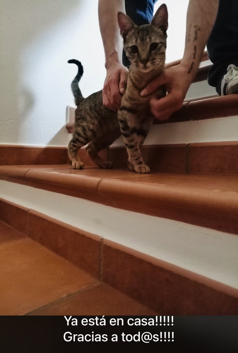 Ǥᗩᔕᑭᗩᔕᕼᗝ tweet media