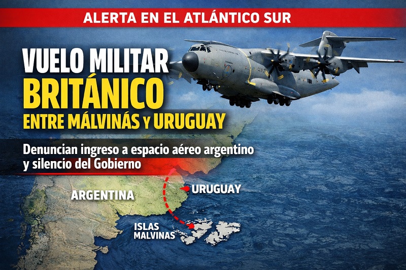 Info y Data tweet media