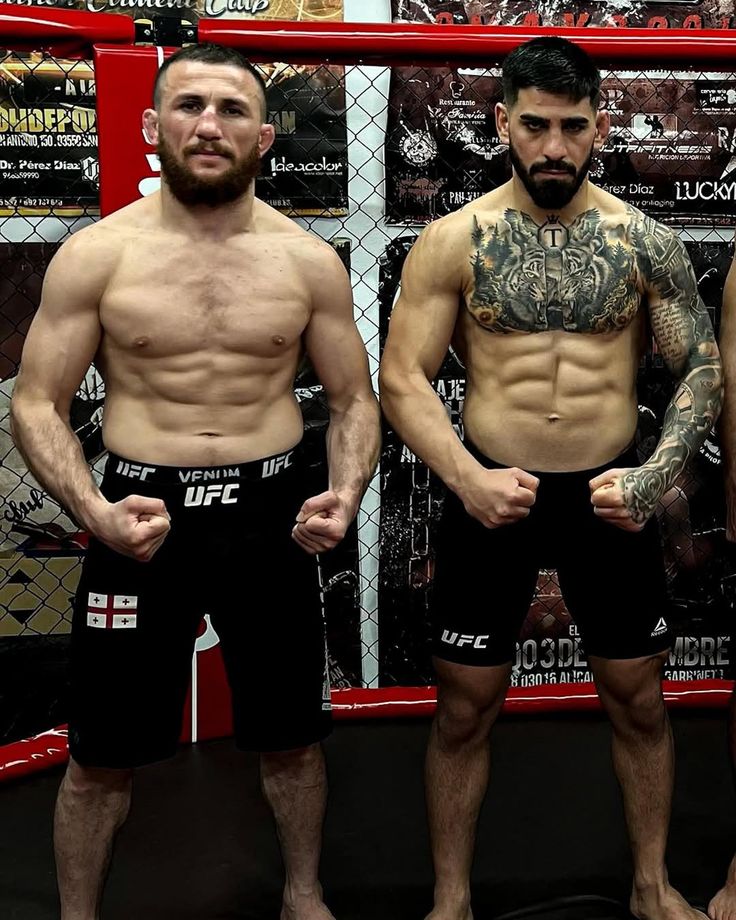 The Fight Fanatic tweet media