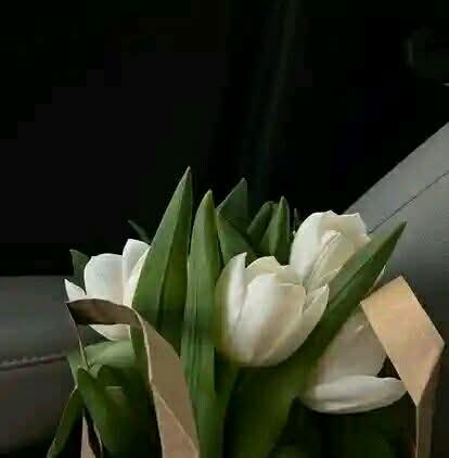 سنو !! آج تم ٹھہرو اور وقت کو جانے دو ـ

Good night 

#اردو_زبان