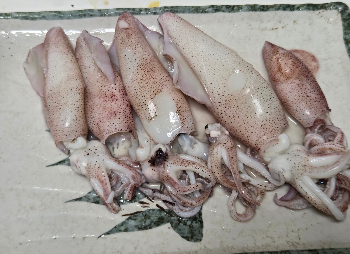 はらちゃん tweet media