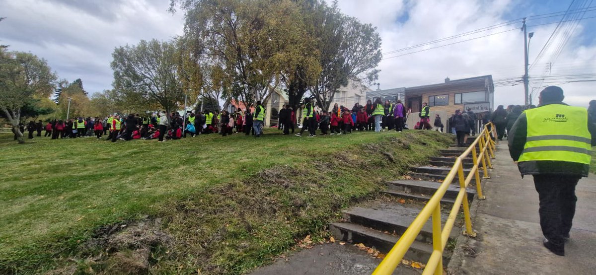 Registro Civil Magallanes tweet media