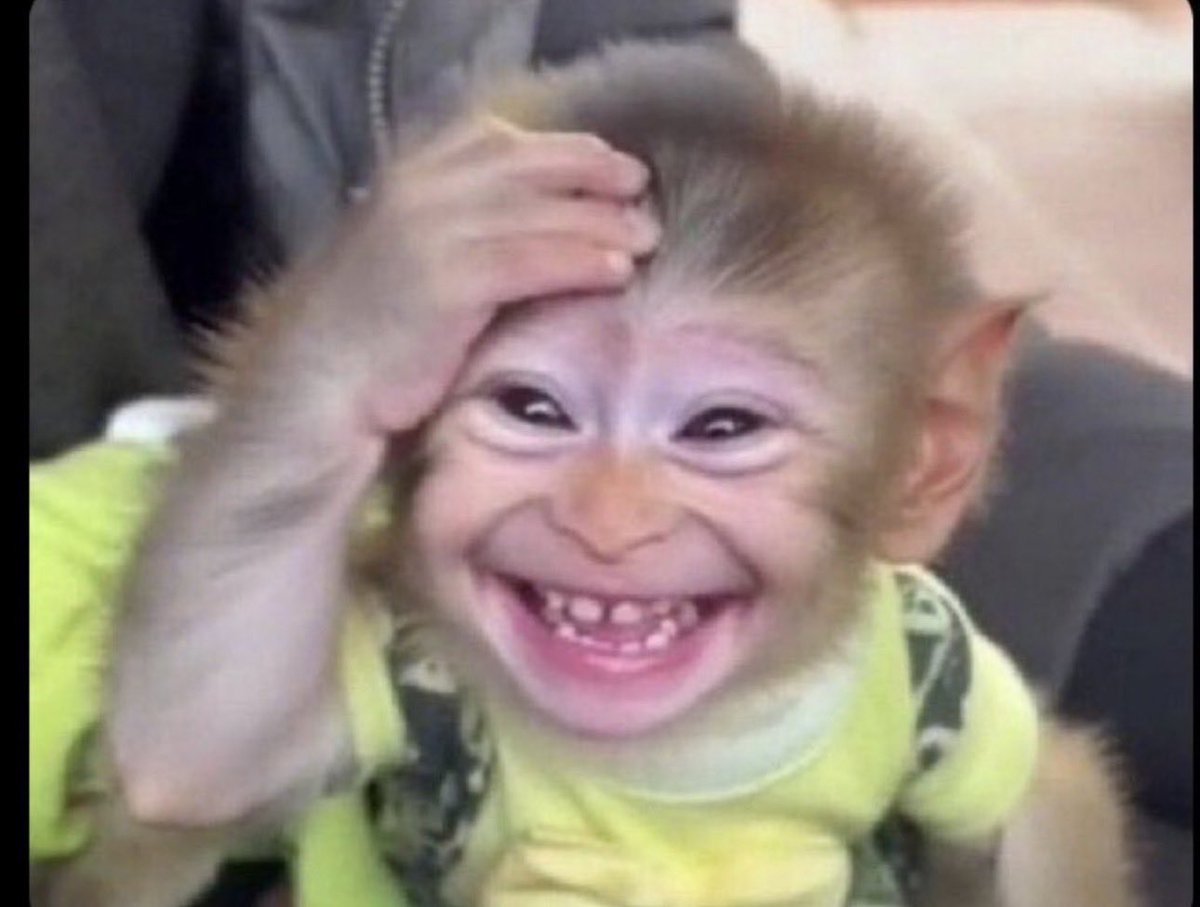 Leo klassiq tweet media