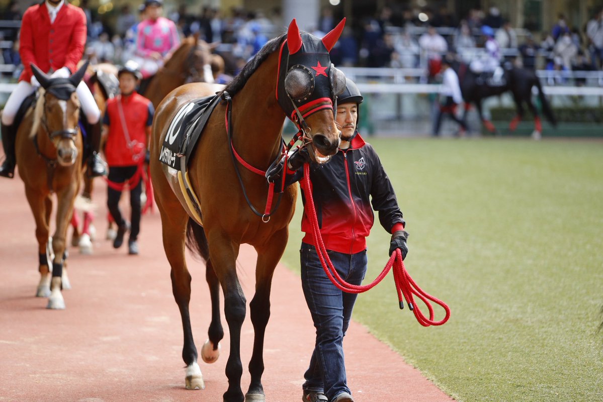 ushiropotun_223's tweet image. 4.11 福島12R 吾妻小富士S

#レイナデアルシーラ
#競馬写真
#CanonEOSR