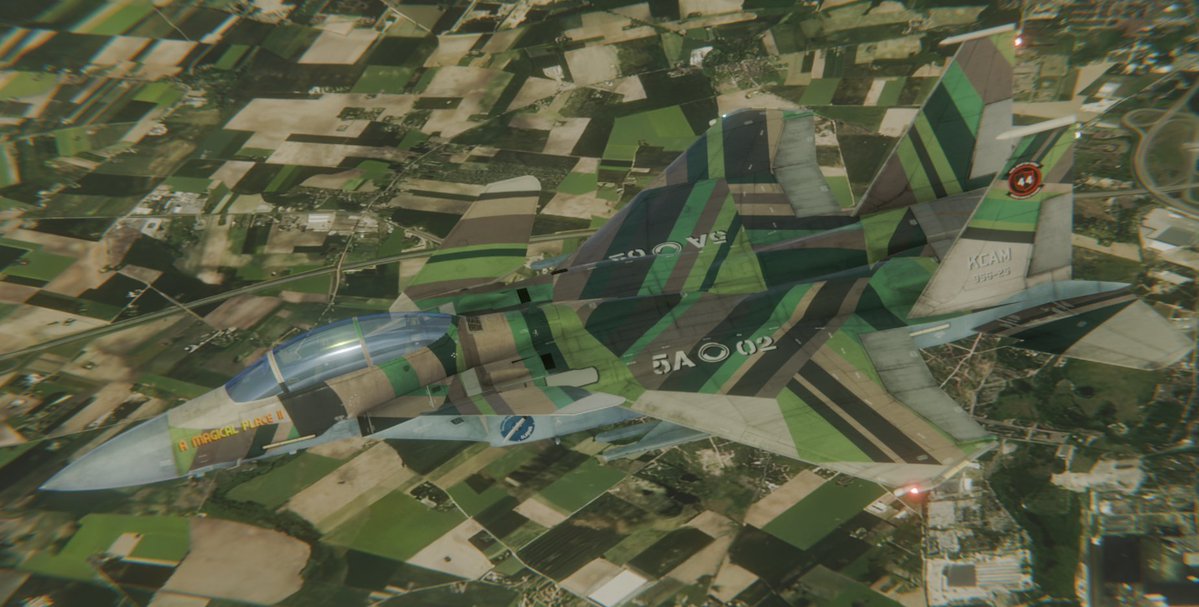 Pancake lady tweet media