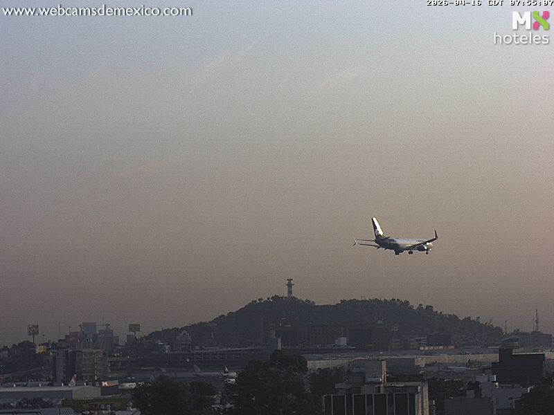 webcamsdemexico's tweet image. El clima cambia, la belleza permanece. 🌄
Así amanecen hoy 4 joyas de México.
¿Cuál se llevó tu mirada?

- #Cadereyta #PuebloMágico de #Querétaro vía @QroTravel 
- #CDMX Ciudad de Mex. vista Aeropuerto
- #Loreto #BCS vía @TravelBajaSur 
- #Ixtapa #Zihuatanejo vía @Emporio_Ixtapa