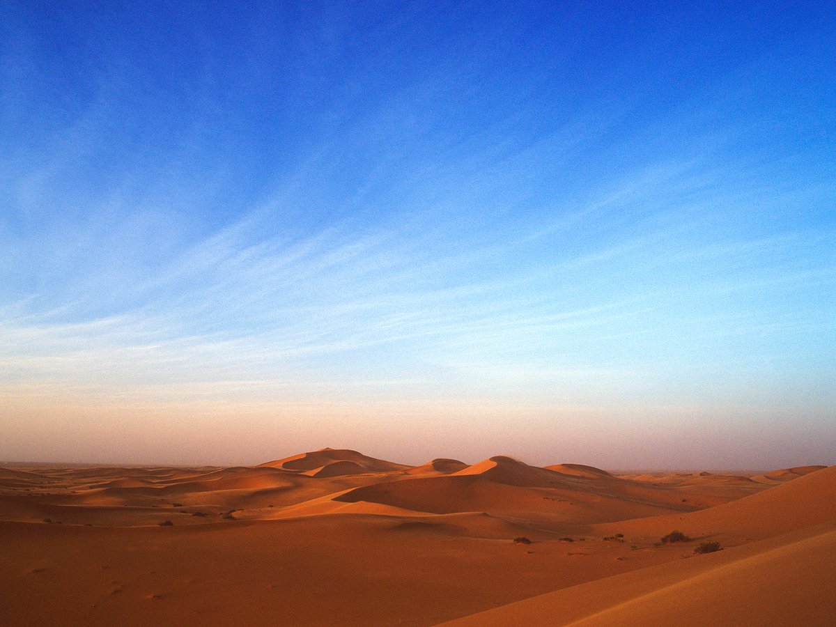 وليد المرحوم tweet media