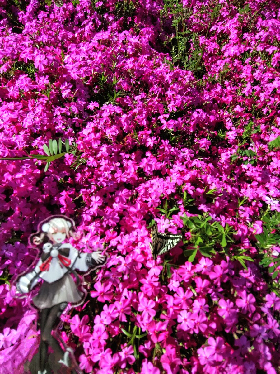 ゆーろ tweet media