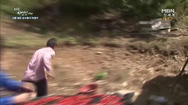 불도장 tweet media