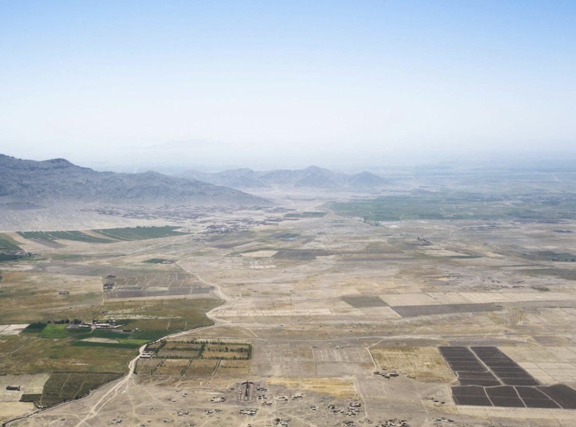 محمد قاسم عزام tweet media