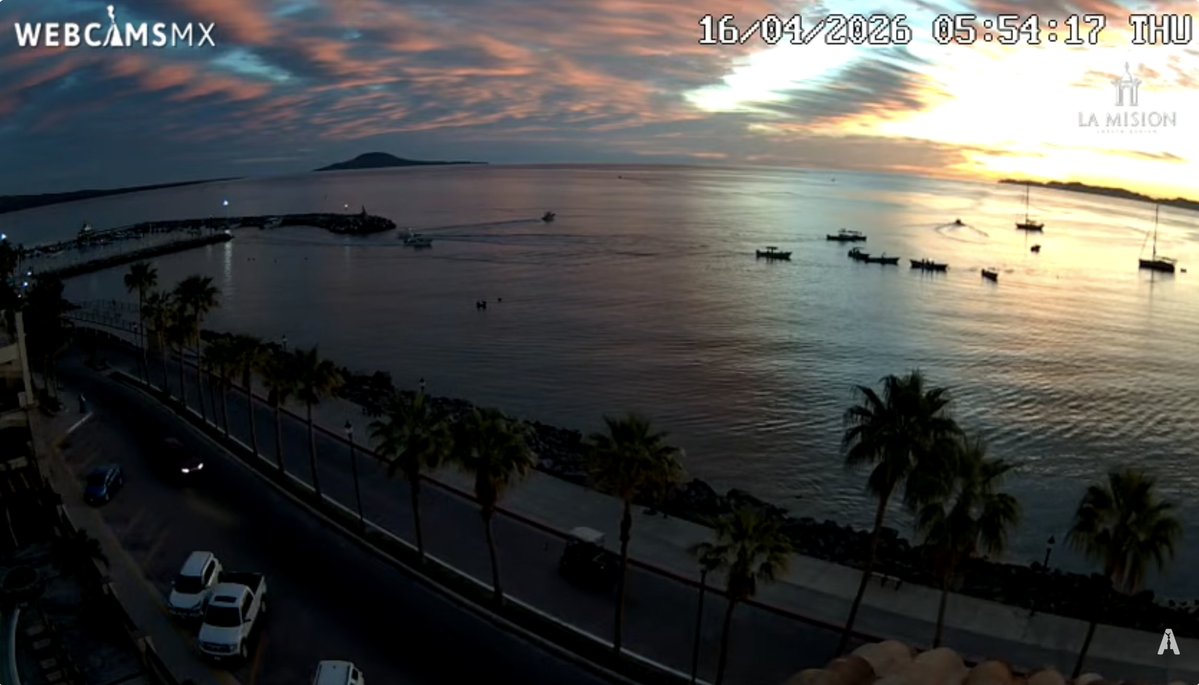 webcamsdemexico's tweet image. El clima cambia, la belleza permanece. 🌄
Así amanecen hoy 4 joyas de México.
¿Cuál se llevó tu mirada?

- #Cadereyta #PuebloMágico de #Querétaro vía @QroTravel 
- #CDMX Ciudad de Mex. vista Aeropuerto
- #Loreto #BCS vía @TravelBajaSur 
- #Ixtapa #Zihuatanejo vía @Emporio_Ixtapa