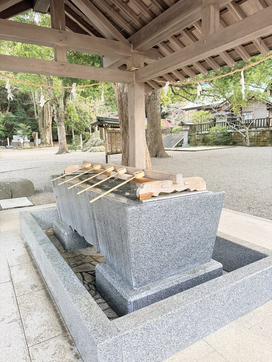 yu3chi's tweet photo. 【安房國一宮 安房神社さま】

長らく存在は知っていた筈なのに、館山の奥地となるとアクアラインの渋滞を考えると、ついつい躊躇してしまっていた安房神社さま。お日柄と方角の重なる日に伺って来ました。

日本三大金運神社のおひとつとも言われているそう( ⸝⸝⸝ᵒ̴̶̷ωᵒ̴̶̷⸝⸝⸝)

初めて伺うタイミングで貸切参拝させていただけるのも、本当に有り難いご縁だなぁと改めて思うんです

ほど近いところにある館山温泉も、すごく素敵でした☺️♨️🌸