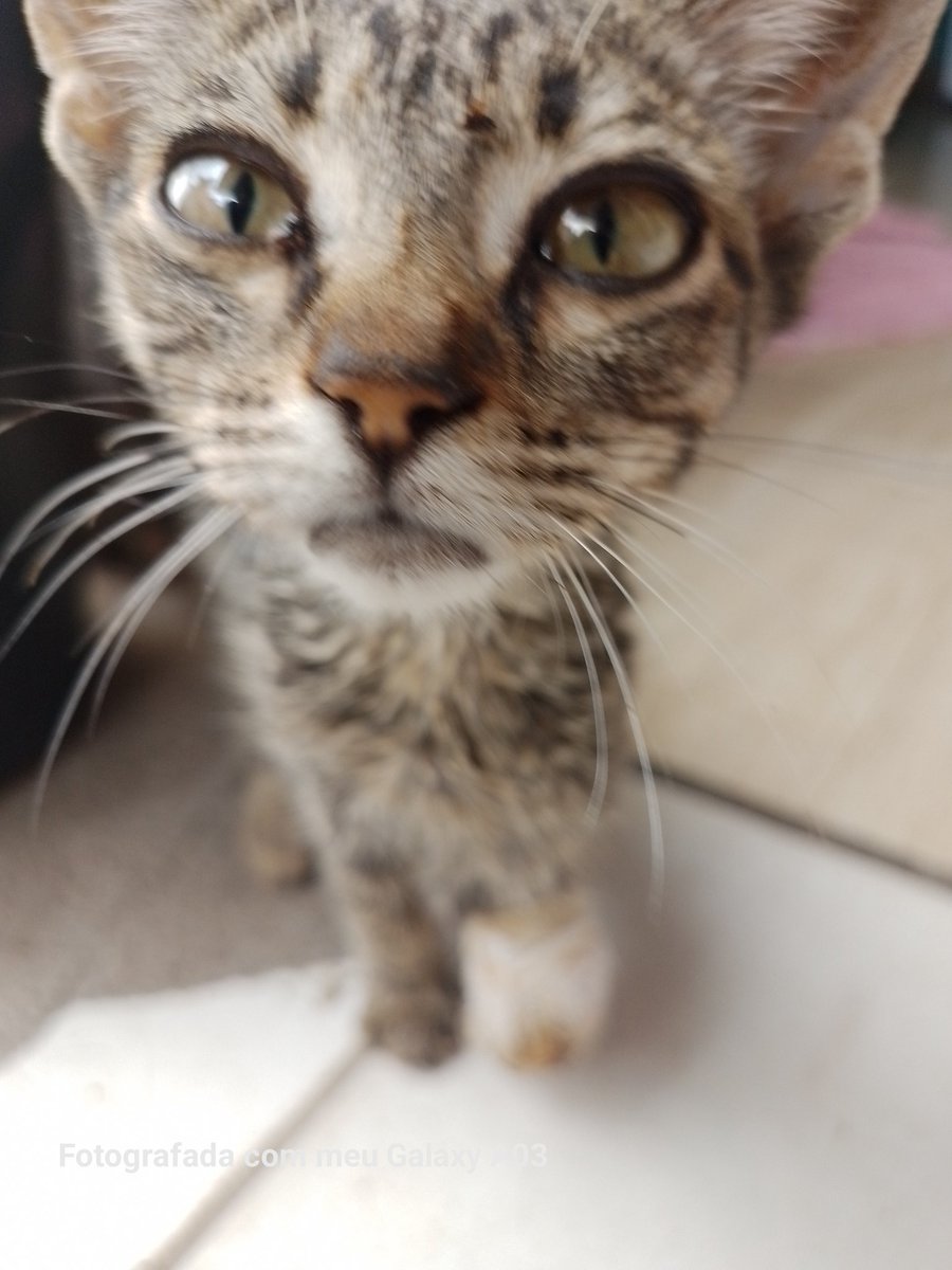 ♀️🐍 tweet media