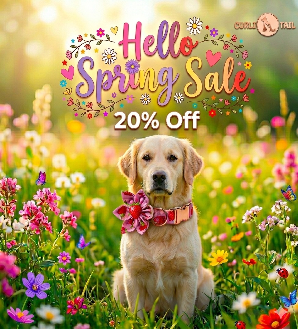 Curlitail1's tweet image. Spring vibes are here—and so are the savings! 🌸🐾

Treat your furry friend to something special this season 💛
Enjoy 20% OFF on adorable, personalized pet accessories.

Because your pet deserves to bloom in style 🌼✨

Shop now 👉 curlitail.com

#SpringSale #PetStyle