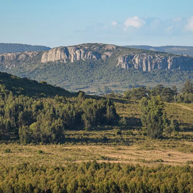 Montevideo Portal tweet media