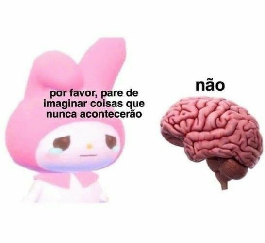 perfil dedicado a gatinhos e peitos tweet media