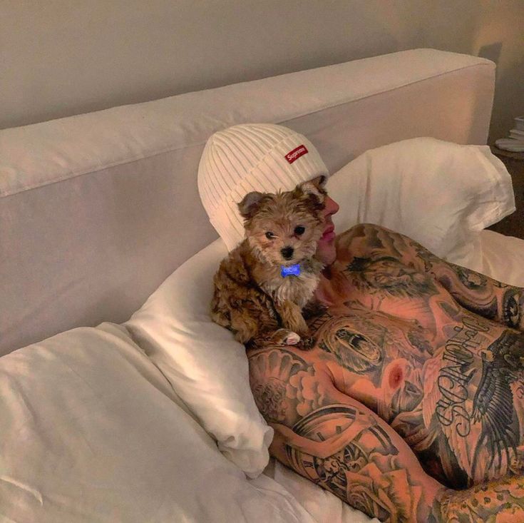 Troy — Hostermanᅠ, P. tweet media