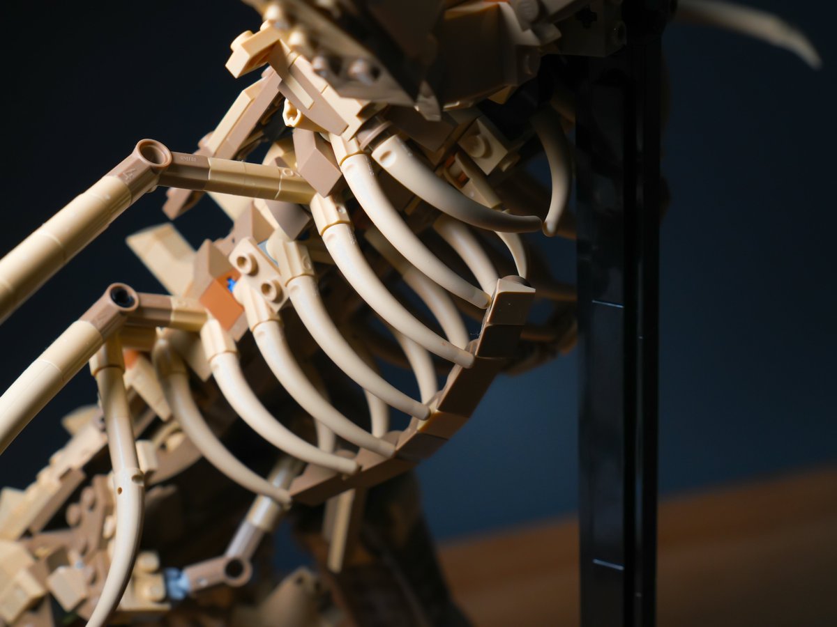 nopingrid tweet media